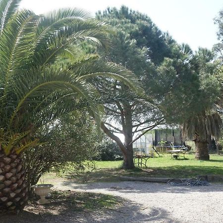 Mas Du Roc Villa Saint-Nazaire  Екстериор снимка