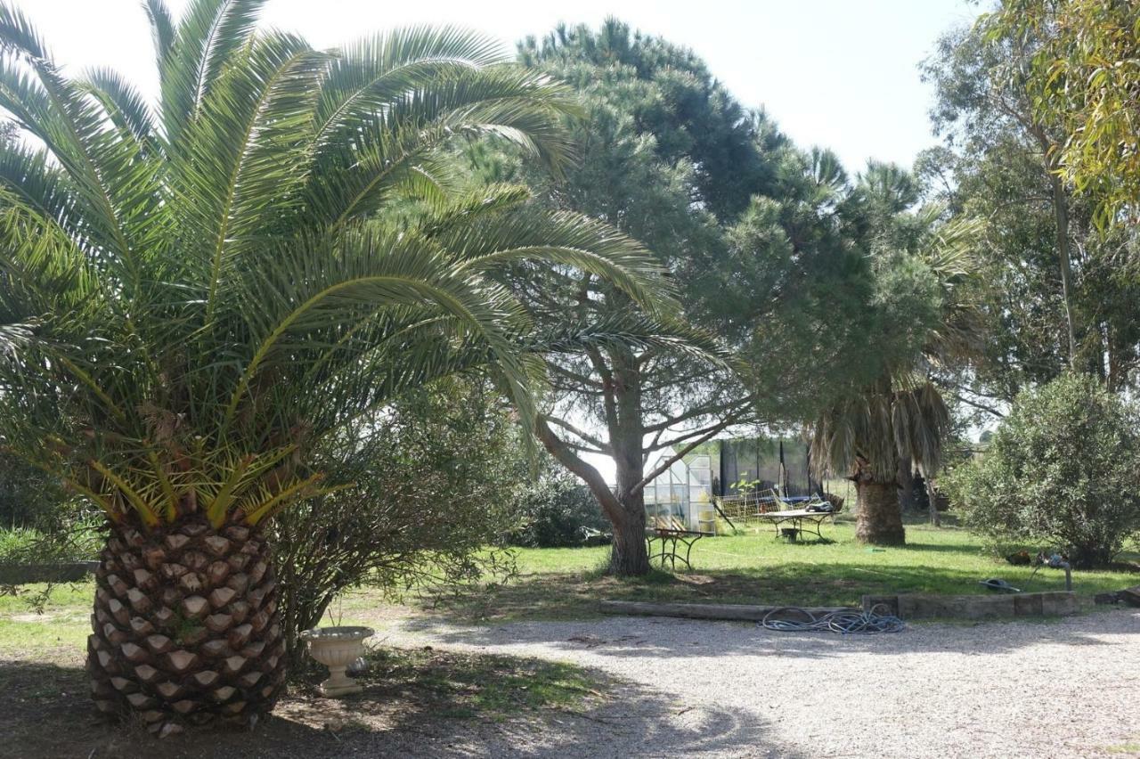 Mas Du Roc Villa Saint-Nazaire  Екстериор снимка